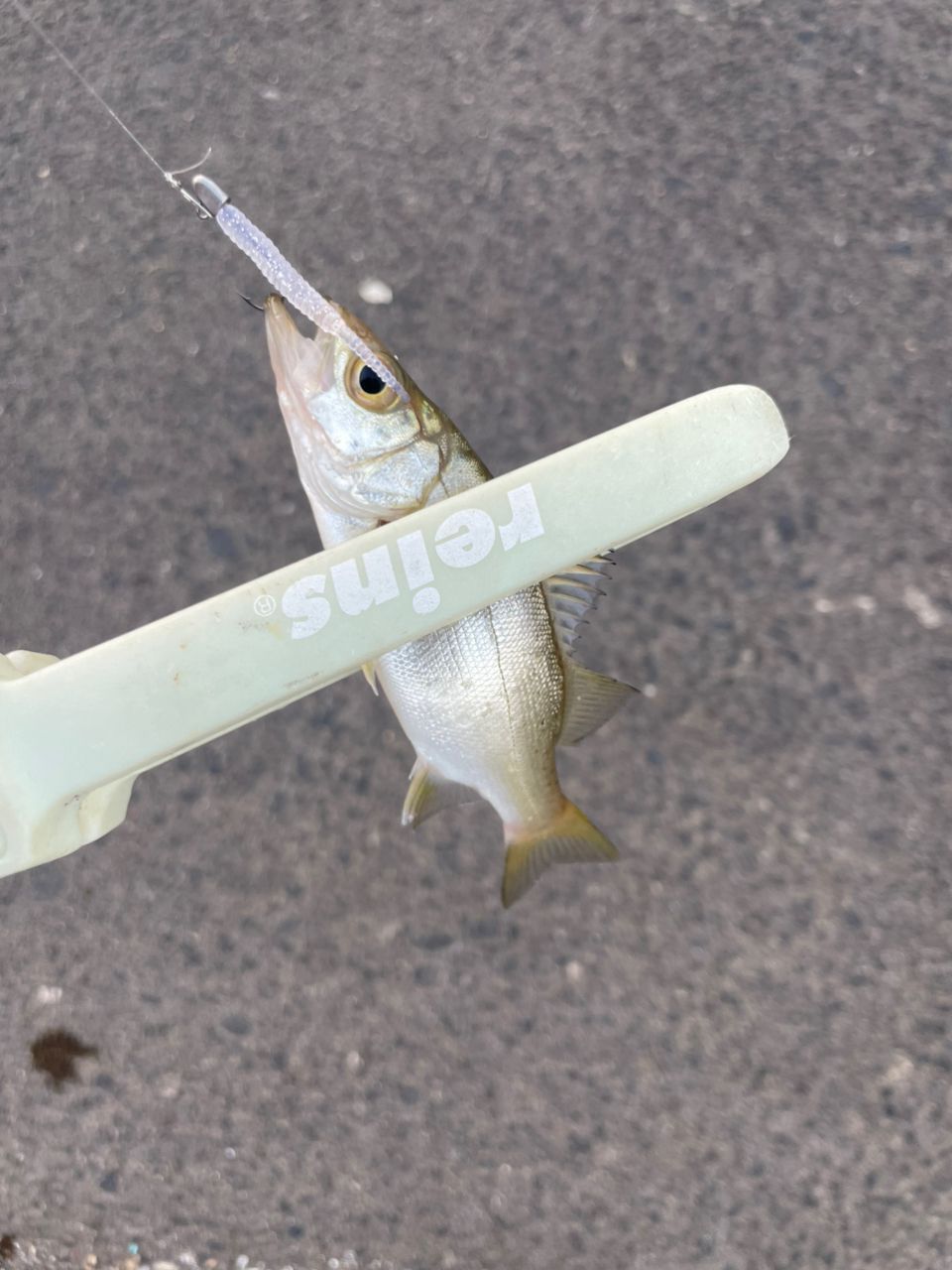 SHIMANO 23ソアレ BB アジング S610L-Sの最安値・インプレ・釣果