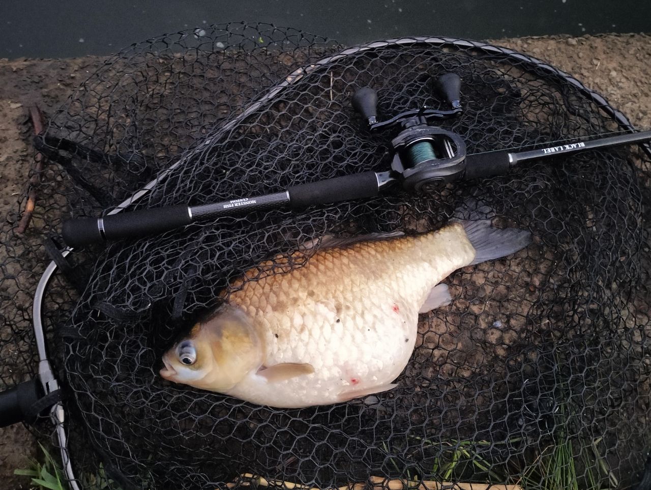 AbuGarcia 19レボ・ビースト 41 HS-Lの最安値・インプレ・釣果 | 本音