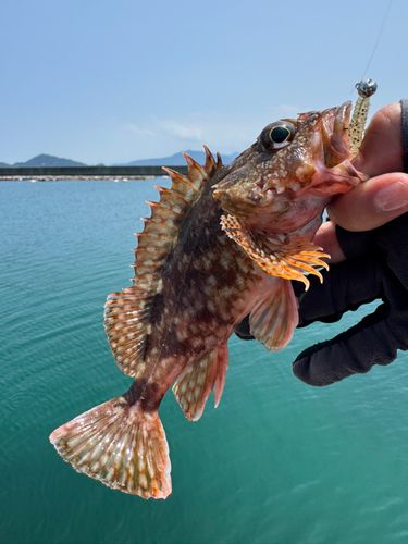 釣果