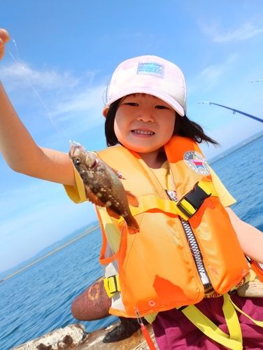 ガヤの釣果