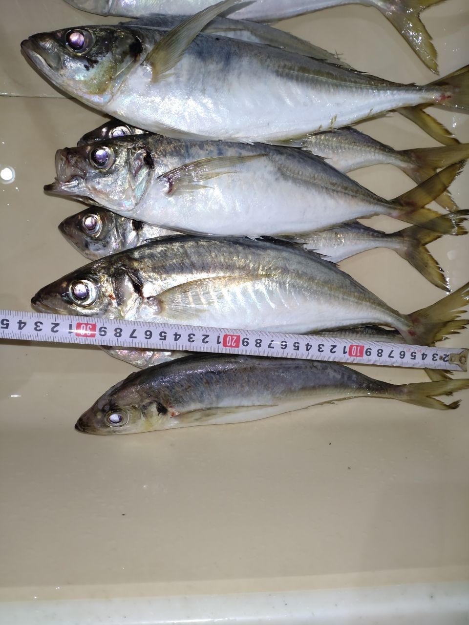 AbuGarcia ソルティーステージ プロトタイプ アジング XAJS-6102LSSの