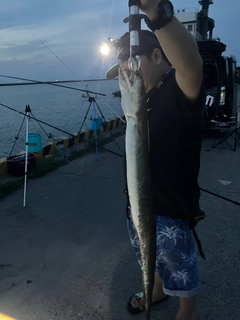 ハモの釣果