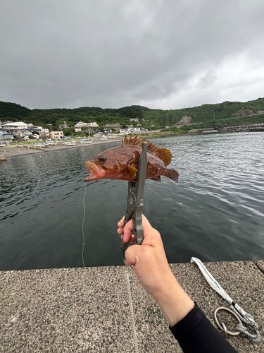 釣果