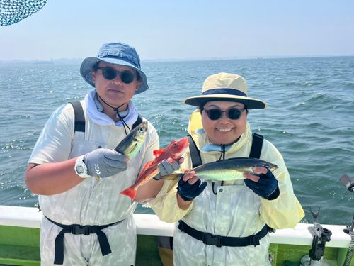 マアジの釣果