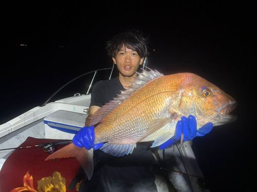タイの釣果
