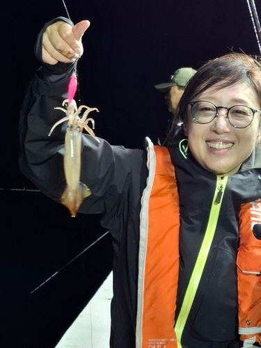 スルメイカの釣果
