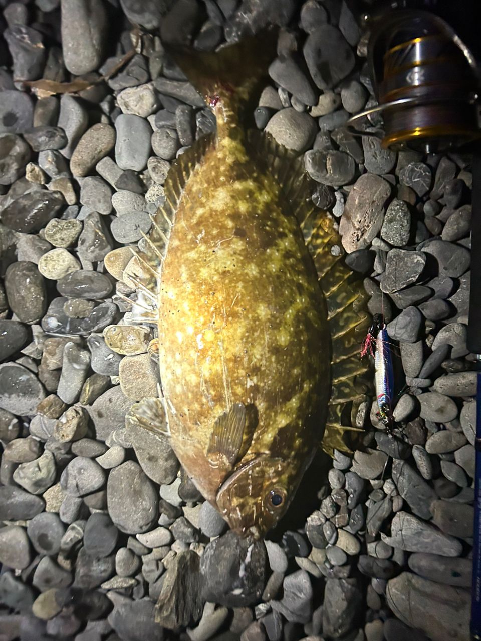 SHIMANO オシア 8 PE 8.0号/SW ネイビー/300mの最安値・インプレ・釣果