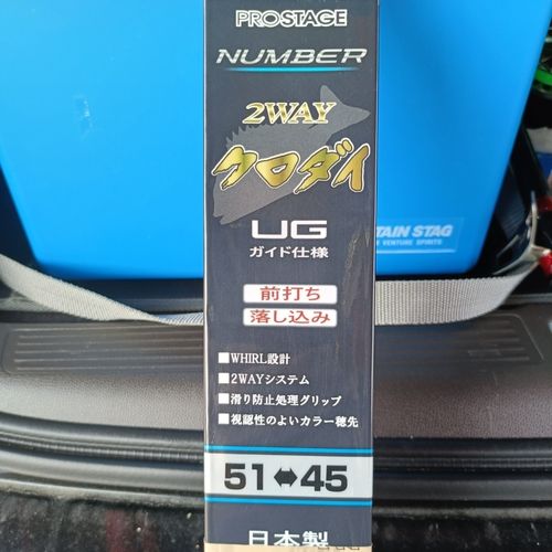 セイゴ（マルスズキ）の釣果