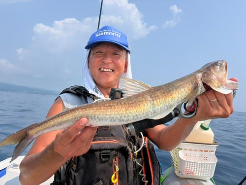 エソの釣果
