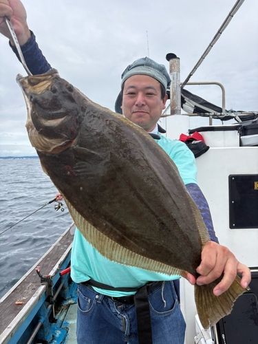 ヒラメの釣果