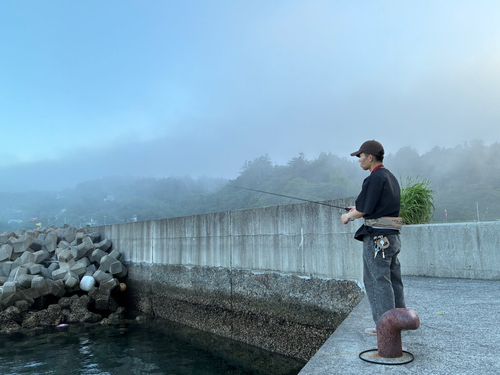ハゼの釣果