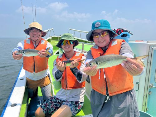マアジの釣果