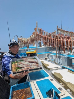 スルメイカの釣果