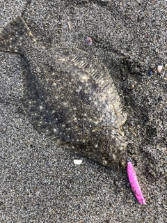 ソゲの釣果