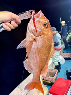 タイの釣果