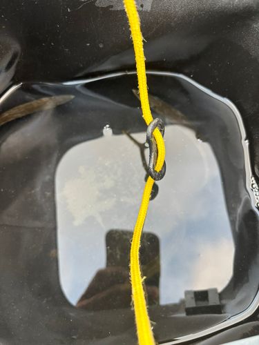 カマスの釣果