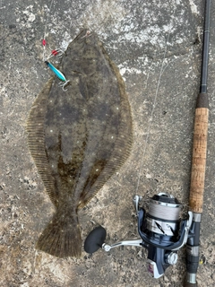 ヒラメの釣果