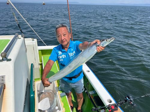 タチウオの釣果