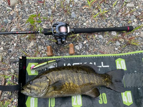 スモールマウスバスの釣果