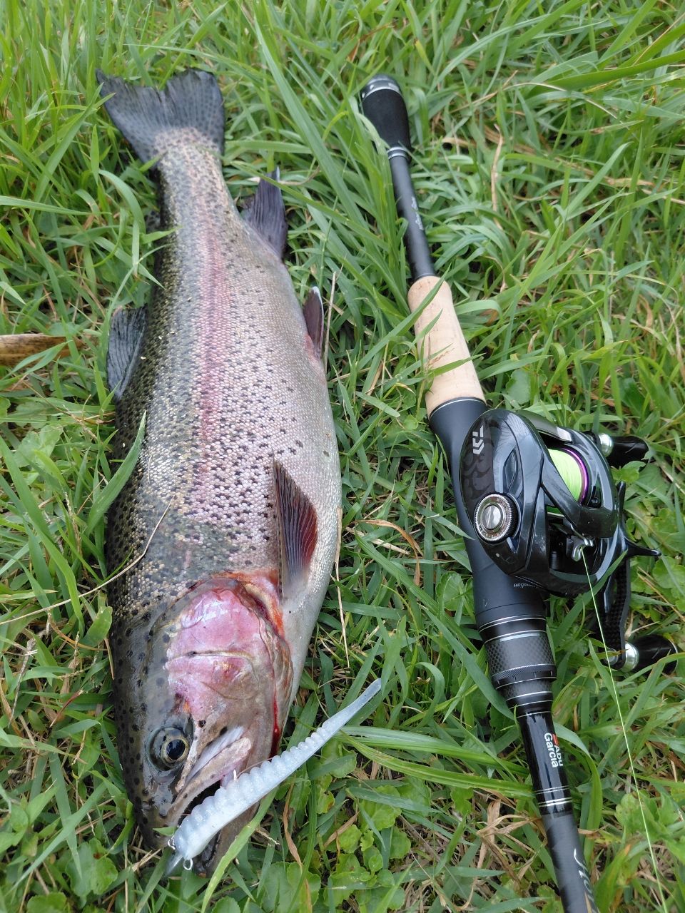 DAIWA 20タトゥーラ SV TW 103XHLの最安値・インプレ・釣果 | 本音の