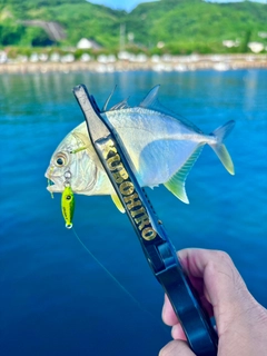 メッキの釣果
