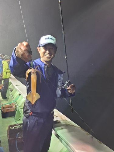 スルメイカの釣果