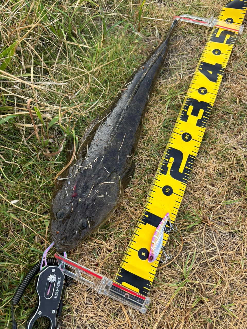 DAIWA 18イグジスト LT4000-CXHの最安値・インプレ・釣果 | 本音の