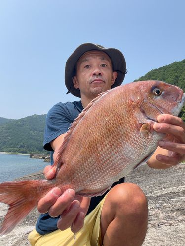 タイの釣果