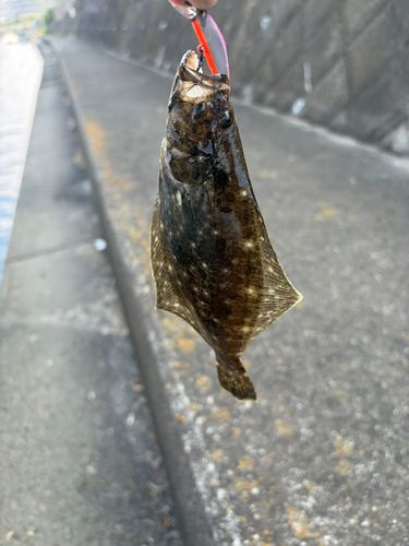 メッキの釣果