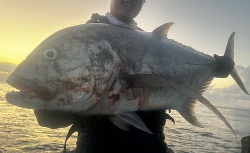 GTの釣果