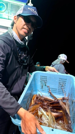 スルメイカの釣果