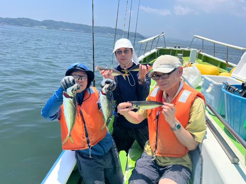 マアジの釣果