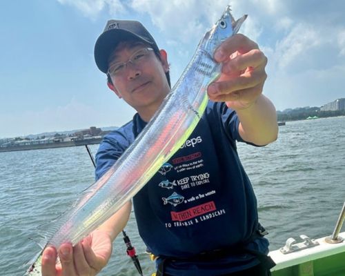 タチウオの釣果