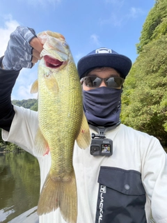 ラージマウスバスの釣果