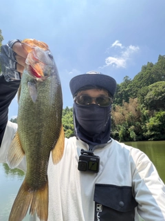 ラージマウスバスの釣果