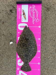 ソゲの釣果