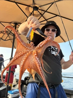 タコの釣果
