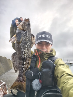 アイナメの釣果