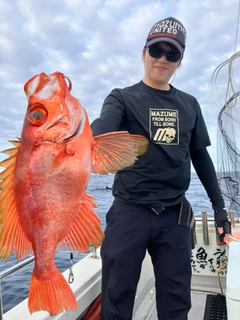 チカメキントキの釣果