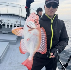 チカメキントキの釣果