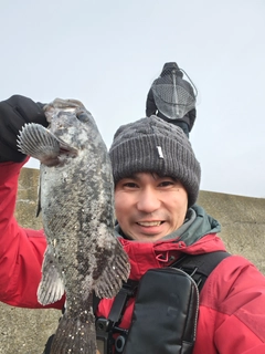ソイの釣果