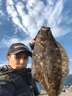 ヒラメの釣果