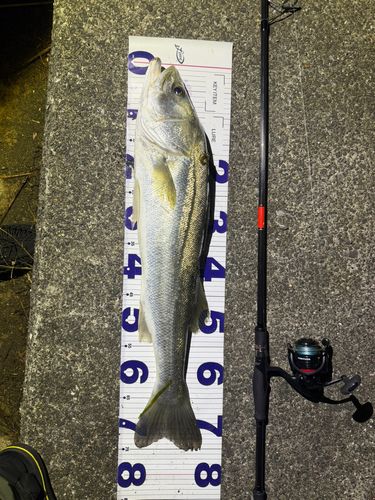 釣果