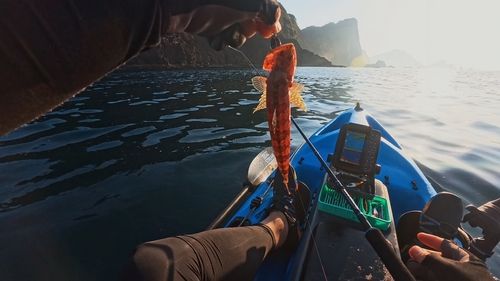 エソの釣果