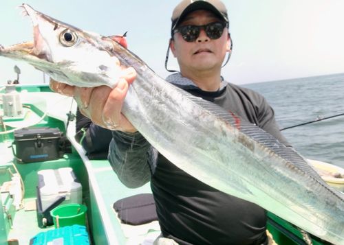 タチウオの釣果
