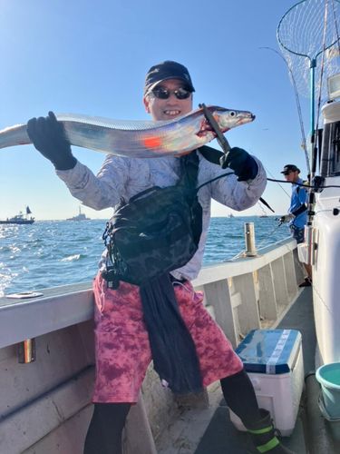 タチウオの釣果