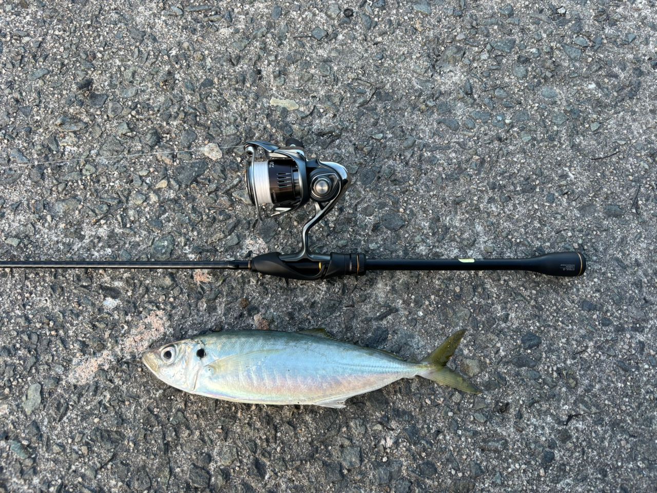 SHIMANO 21ソアレXR S76UL-Sの最安値・インプレ・釣果 | 本音の口コミ