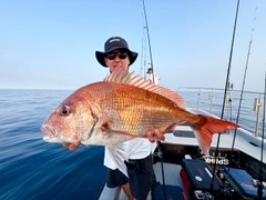 マダイの釣果