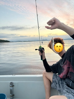 キスの釣果