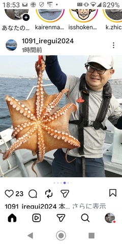 タコの釣果